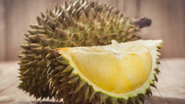 Unduh 97+ Gambar Durian Terbaik Gratis HD