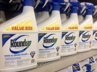 Herbicida Roundup, glifosfato