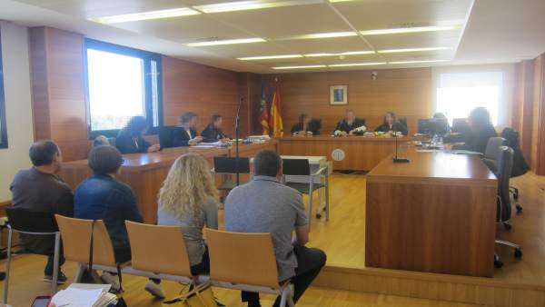 Juzgan a 4 empresarios por no garantizar la seguridad de un trabajador sin contrato que se lesionó talando pinos Juzgan a 4 empresarios por no garantizar la seguridad de un trabajador sin contrato que se lesionó talando pinos