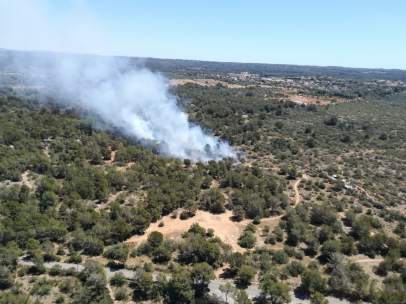 Sucesos.- Confirmado un incendio forestal en Son Verí
