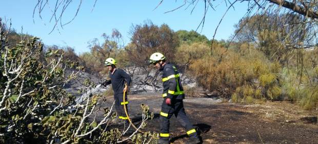 Cádiz.- Sucesos.- Bomberos actúan en un incendio de vegetación en El Puerto propagado por el viento a jardines privados