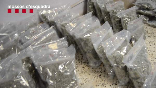 Sucesos.- Cae un grupo dedicado a la compraventa de droga en Lloret de Mar (Girona) Sucesos.- Cae un grupo dedicado a la compraventa de droga en Lloret de Mar (Girona)