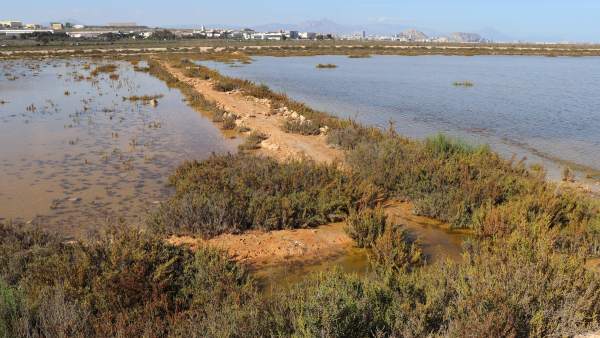 Alicante.- Amigos de los Humedales rechaza la segunda pista del aeropuerto por el 'grave impacto ambiental' Alicante.- Amigos de los Humedales rechaza la segunda pista del aeropuerto por el 'grave impacto ambiental'