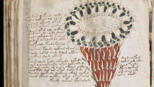 Voynich Voynich