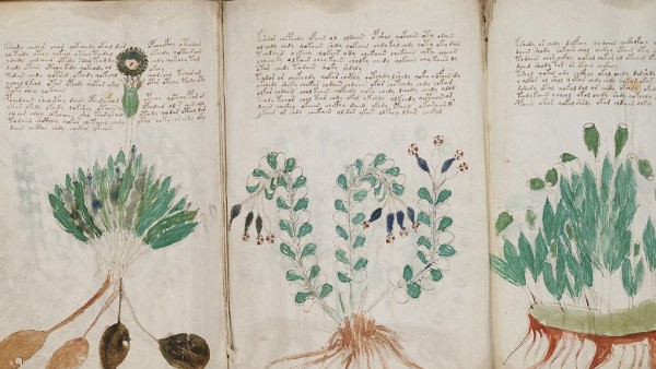 Manuscrito Voynich Manuscrito Voynich