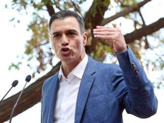 Pedro Sánchez