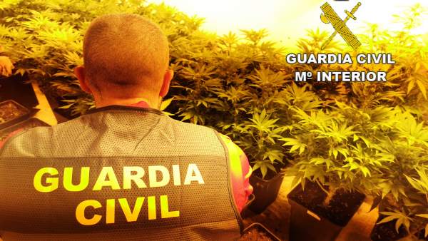 Sucesos.- Cae una red que reclutaba a búlgaros para cultivar marihuana en chalés de urbanizaciones de lujo de Valencia Sucesos.- Cae una red que reclutaba a búlgaros para cultivar marihuana en chalés de urbanizaciones de lujo de Valencia