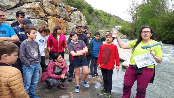 Liberados 100 ejemplares de cavilat en el río Garona a su paso por Es Bordes (Lleida) Liberados 100 ejemplares de cavilat en el río Garona a su paso por Es Bordes (Lleida)