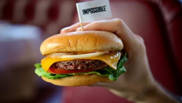 Hamburguesa vegetal Hamburguesa vegetal