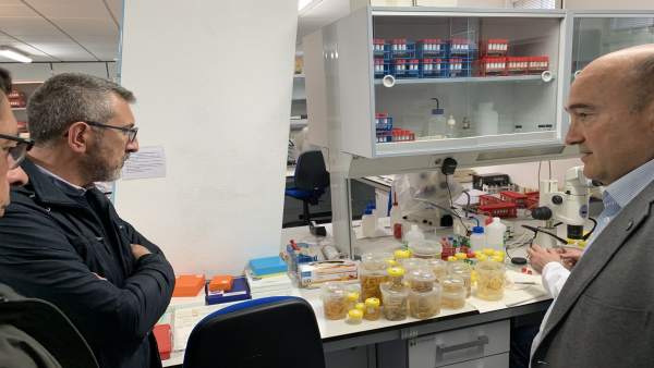 26M-M.- Gijón.- Ciudadanos propone crear un cluster vinculado al mar para potenciar industrias y actividades marítimas 26M-M.- Gijón.- Ciudadanos propone crear un cluster vinculado al mar para potenciar industrias y actividades marítimas