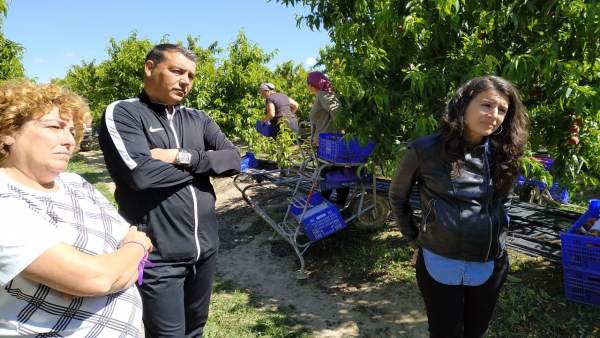 26M.- Irene De Miguel Cree Que La Aplicación De La Subida Del SMI Al Convenio Del Campo Es Una Cuestión De 'Justicia' 26M.- Irene De Miguel Cree Que La Aplicación De La Subida Del SMI Al Convenio Del Campo Es Una Cuestión De 'Justicia'