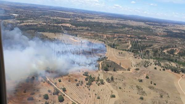 Huelva.- Sucesos.- Estabilizado un incendio declarado en Beas, en el paraje Dehesa Pan y Ajo Huelva.- Sucesos.- Estabilizado un incendio declarado en Beas, en el paraje Dehesa Pan y Ajo