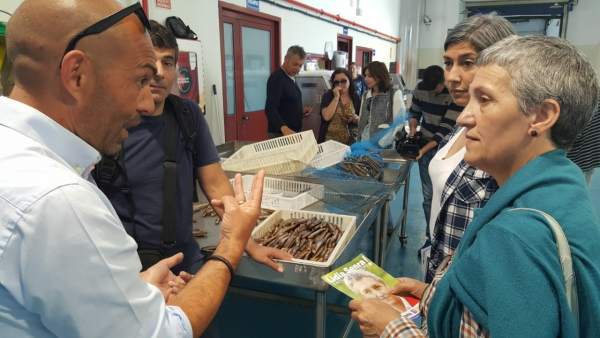 26M.- Senra Pedirá Que La Comisión Europea Retire Su Propuesta Para Modificar El Reglamento De Control De La Pesca 26M.- Senra Pedirá Que La Comisión Europea Retire Su Propuesta Para Modificar El Reglamento De Control De La Pesca
