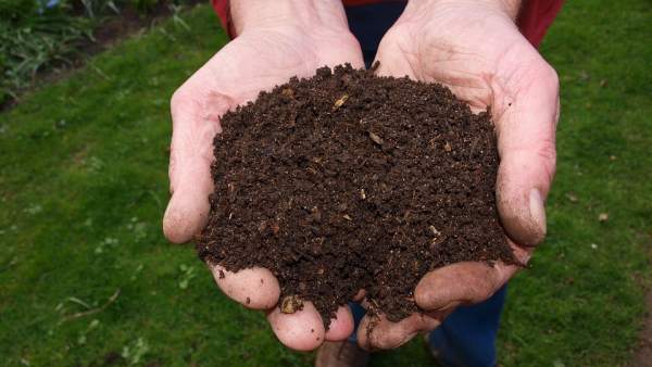 Compost Compost