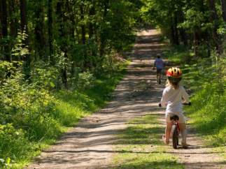 Niños en la naturaleza