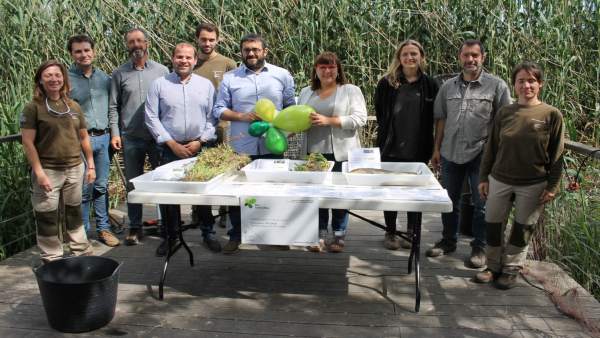 Medio Ambiente trabaja para eliminar flora y fauna invasoras en las zonas húmedas de Baleares Medio Ambiente trabaja para eliminar flora y fauna invasoras en las zonas húmedas de Baleares