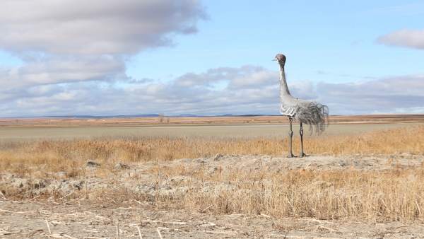 Zona de Gallocanta Zona de Gallocanta