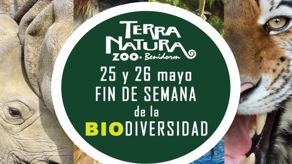 Alicante.- Terra Natura Benidorm se suma este fin de semana al Día de la Biodiversidad para sensibilizar a la ciudadanía Alicante.- Terra Natura Benidorm se suma este fin de semana al Día de la Biodiversidad para sensibilizar a la ciudadanía
