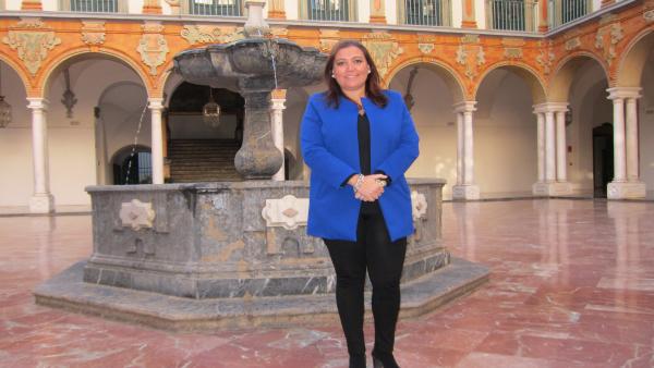 La vicepresidenta segunda de la Diputación, Ana Carrillo. La vicepresidenta segunda de la Diputación, Ana Carrillo.