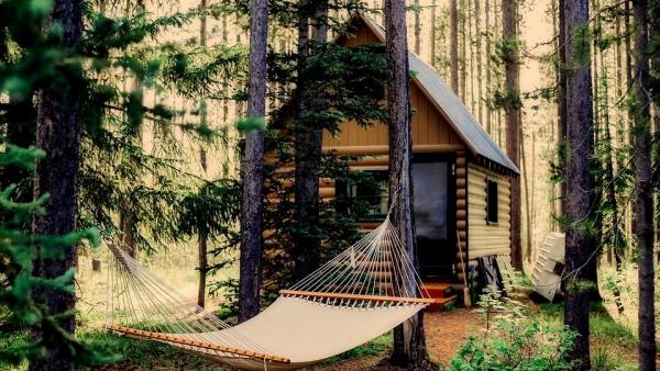 Cuatro lugares increíbles para dormir en los árboles Cuatro lugares increíbles para dormir en los árboles