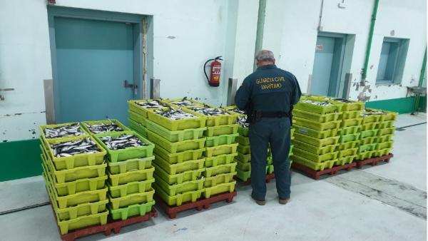 Pesca.- Intervenidos más de 2.000 kilos de sardina en Carballo sin el etiquetado que garantice su trazabilidad Pesca.- Intervenidos más de 2.000 kilos de sardina en Carballo sin el etiquetado que garantice su trazabilidad