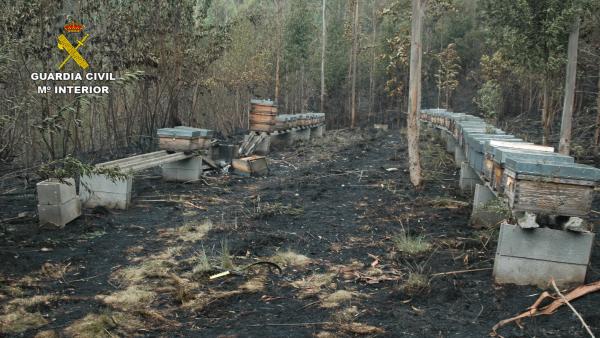 Sucesos.- Investigado un apicultor, vecino de Tineo, por el incendio de Sierra Sollera Sucesos.- Investigado un apicultor, vecino de Tineo, por el incendio de Sierra Sollera