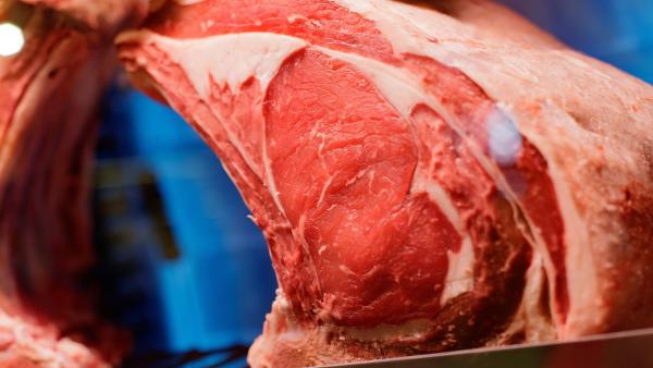 Carne cruda Carne cruda