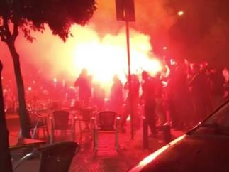Boixos en Sevilla