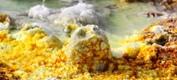 Microorganismos Dallol