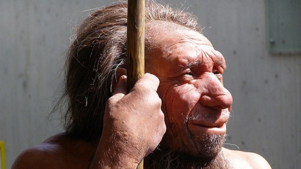 Neandertal Neandertal
