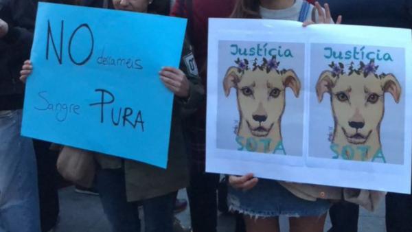 Manifestantes reclamando "justicia" para la perra Sota. Manifestantes reclamando "justicia" para la perra Sota.