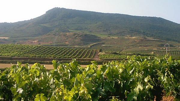 La Rioja La Rioja