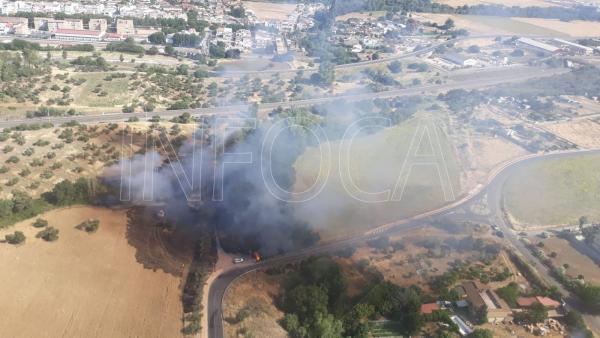 Córdoba.- Sucesos.- Infoca y SEIS intervienen en un incendio de pastos junto a la barriada de Alcolea Córdoba.- Sucesos.- Infoca y SEIS intervienen en un incendio de pastos junto a la barriada de Alcolea