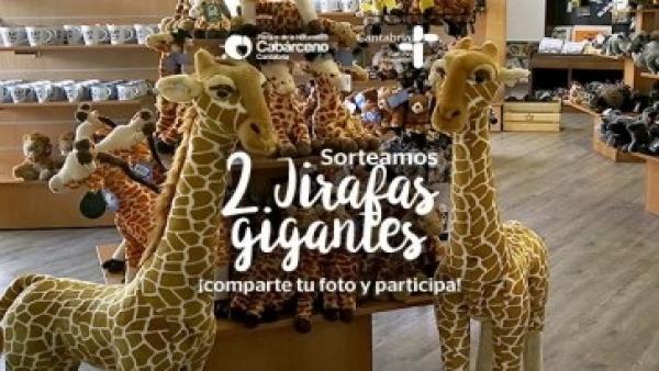 El Parque de Cabárceno convoca un concurso en el que puede ganar una jirafa gigante de peluche El Parque de Cabárceno convoca un concurso en el que puede ganar una jirafa gigante de peluche