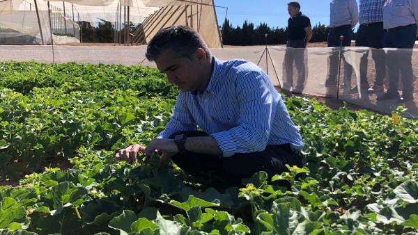 El Centro de Demostración Agraria de San Javier imparte doce ensayos en variedades de agricultura ecológica y en abonado El Centro de Demostración Agraria de San Javier imparte doce ensayos en variedades de agricultura ecológica y en abonado