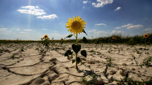 Clavijo y Arias Cañete protagonizarán dos 'diálogos ciudadanos' en Canarias sobre el cambio climático Clavijo y Arias Cañete protagonizarán dos 'diálogos ciudadanos' en Canarias sobre el cambio climático