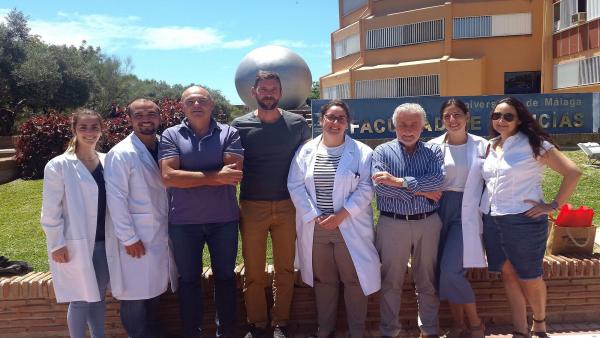 Málaga.- La UMA avanza en la investigación con células madre Málaga.- La UMA avanza en la investigación con células madre