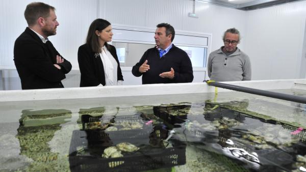 El Ayuntamiento Aprovecha El Auge Del Sector Acuícola Para Generar Oportunidades De Empleo En La Mujer El Ayuntamiento Aprovecha El Auge Del Sector Acuícola Para Generar Oportunidades De Empleo En La Mujer