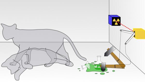 Experimento del gato de Schrödinger
Experimento del gato de Schrödinger