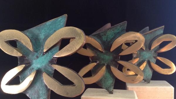 Amador Castro, Enma Pedreira y Rosa Aneiros se hacen con los Premios Xerais 2019 Amador Castro, Enma Pedreira y Rosa Aneiros se hacen con los Premios Xerais 2019