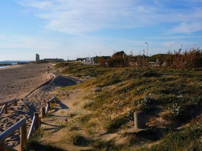 Playa de El Palmar