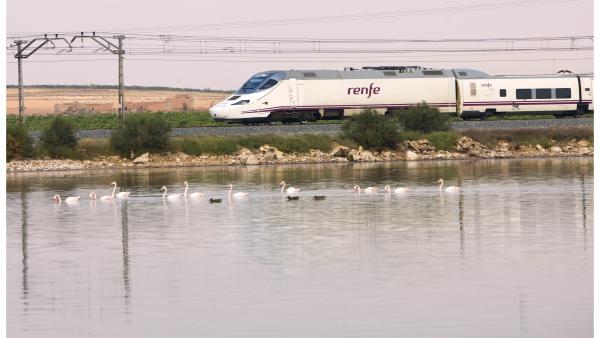 Tren Alvia Cádiz-Madrid Tren Alvia Cádiz-Madrid