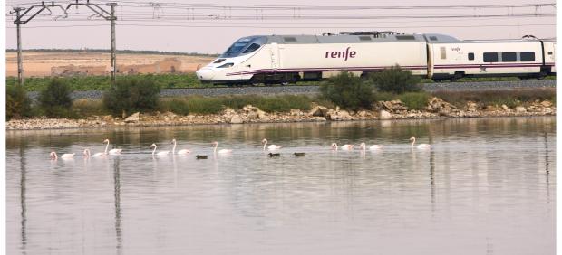Tren Alvia Cádiz-Madrid