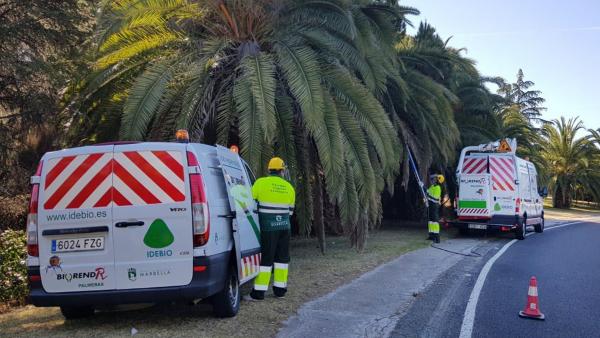 Málaga.-Ayuntamiento de Marbella aboga por métodos ecológicos para la campaña de control de plagas en parques y jardines Málaga.-Ayuntamiento de Marbella aboga por métodos ecológicos para la campaña de control de plagas en parques y jardines