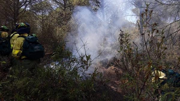 Huelva.- Sucesos.- Estabilizado el incendio forestal de Moguer Huelva.- Sucesos.- Estabilizado el incendio forestal de Moguer