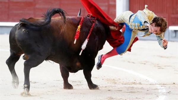 Cogida de Román en Las Ventas Cogida de Román en Las Ventas