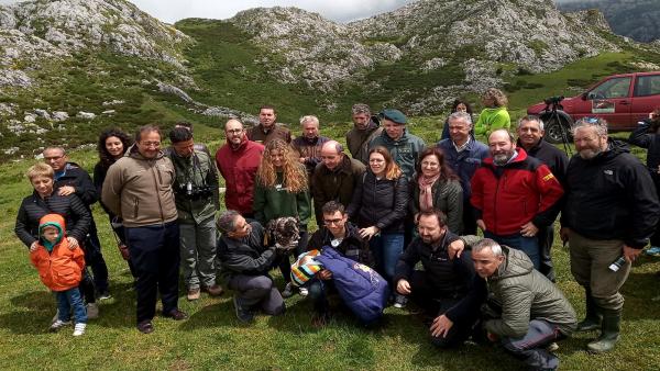 Tres ejemplares de quebrantahuesos llegan al Parque Nacional de los Picos de Europa Tres ejemplares de quebrantahuesos llegan al Parque Nacional de los Picos de Europa