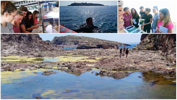 Cádiz.- Estudiantes de doctorado CEI·Mar realizan en estudio sobre biodevirsidad en Chafarinas, el norte de África Cádiz.- Estudiantes de doctorado CEI·Mar realizan en estudio sobre biodevirsidad en Chafarinas, el norte de África