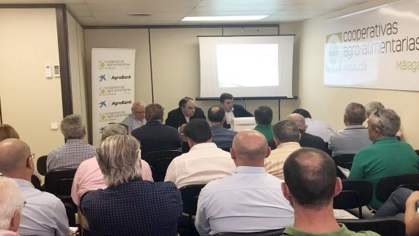 Málaga.- Antonio Luque estará al frente de Cooperativas Agro-alimentarias de Málaga otros cuatro años