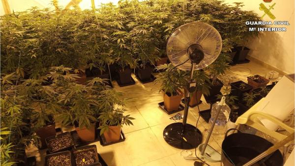 Alicante.- Sucesos.- Descubren una plantación de marihuana al acudir para investigar un supuesto asalto a una vivienda Alicante.- Sucesos.- Descubren una plantación de marihuana al acudir para investigar un supuesto asalto a una vivienda
